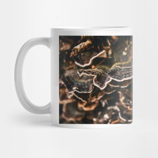 Fungi on tree bark close up Mug